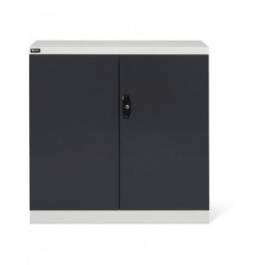 Armadio con ante a battente, L1023 x P555 x H1000 mm, PERFOM12004