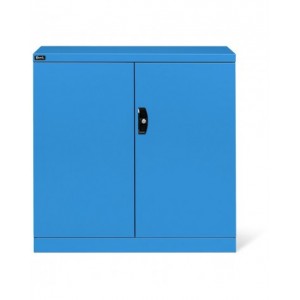 Armadio con ante a battente, L1023 x P555 x H1000 mm, PERFOM12009