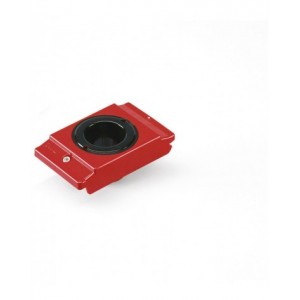 Boccola Cono Morse 5