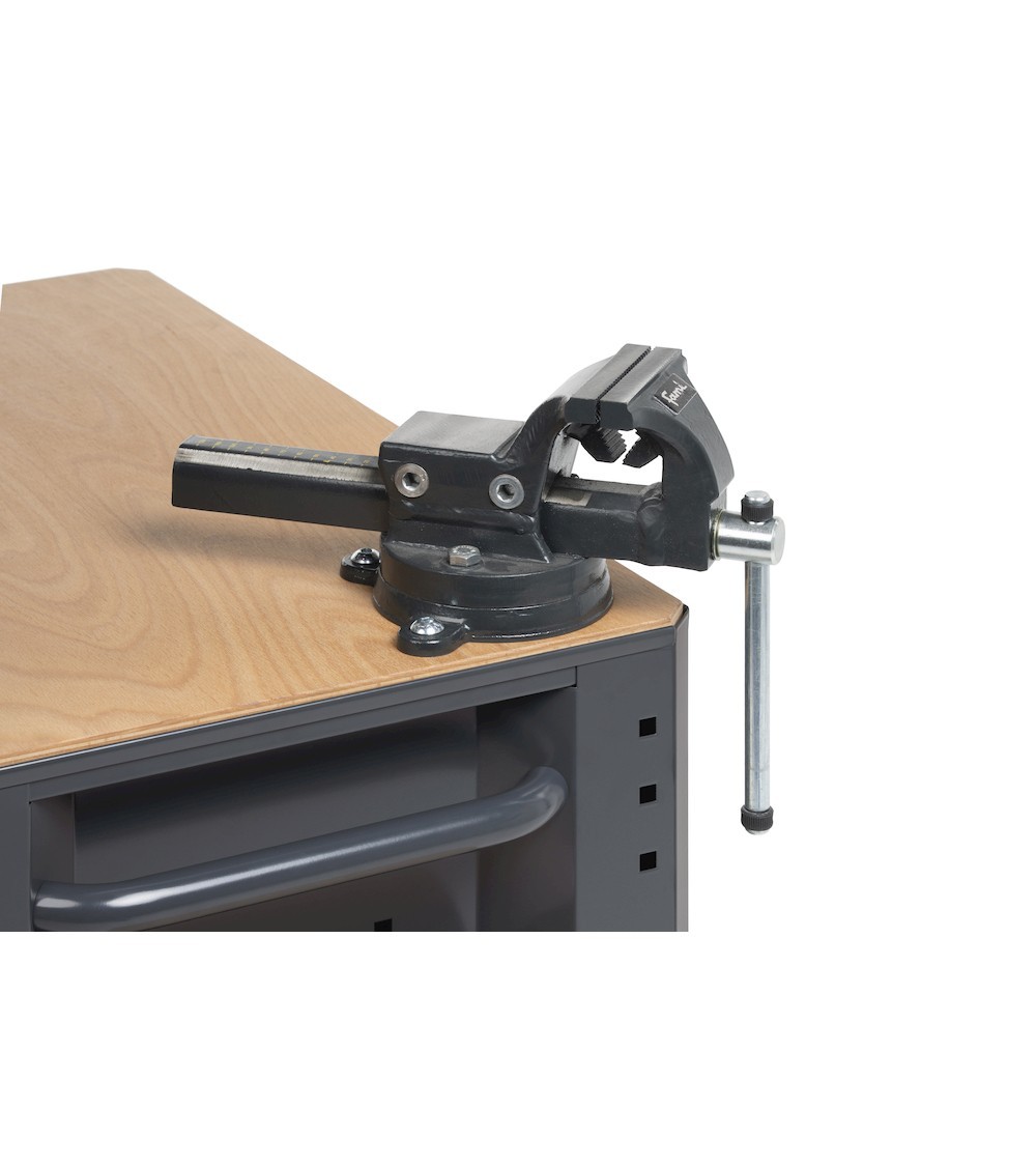 Morsa per carrello da officina Linea 391, ganascia L 100, apertura 125 mm