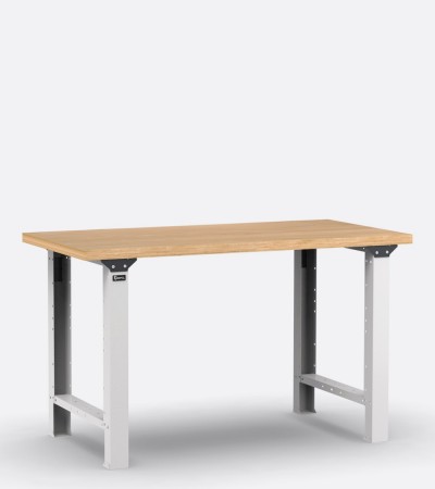 Empty fixed professional workbench