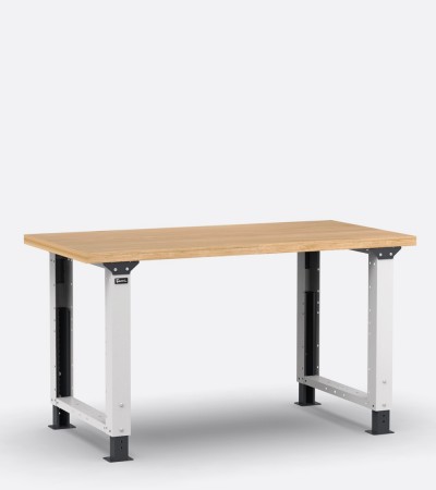 Empty height-adjustable professional workbench